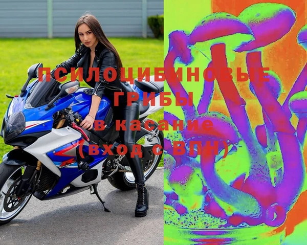 мяу мяу мука Алексеевка
