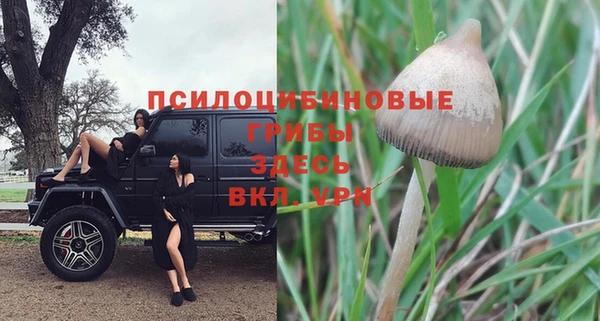 мяу мяу мука Алексеевка