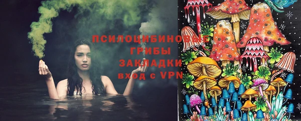 стафф Алзамай