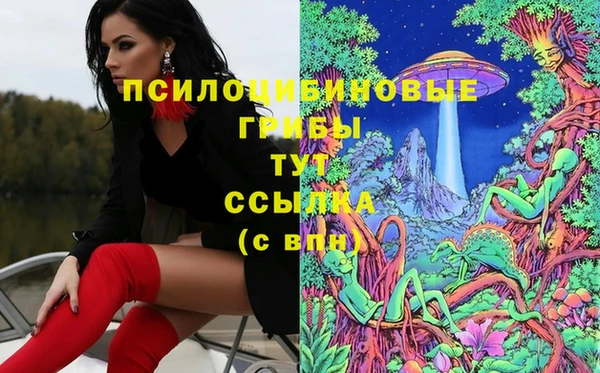 таблы Алексин