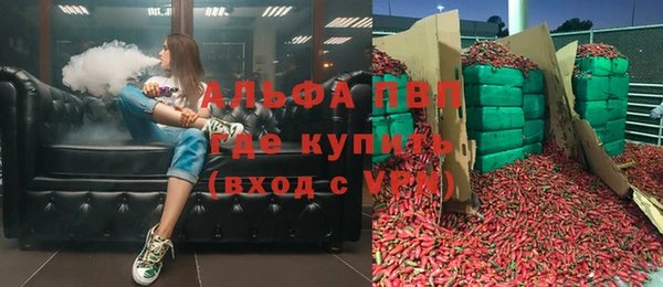 стафф Алзамай