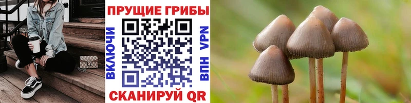 Псилоцибиновые грибы прущие грибы  купить   Алупка 