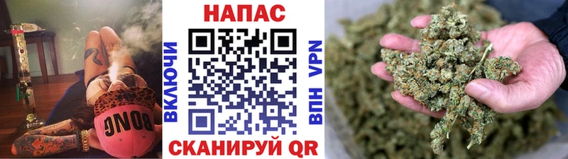 Каннабис план  где можно купить   Алупка 